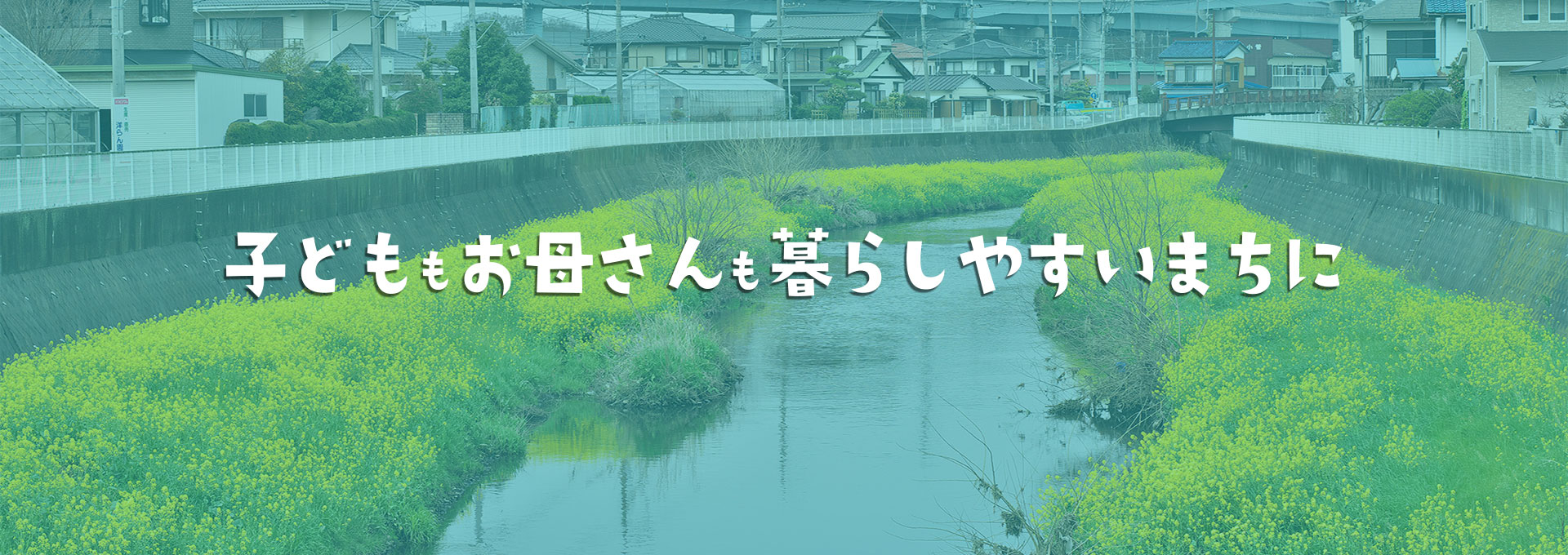 寒川 町議会 議員 選挙